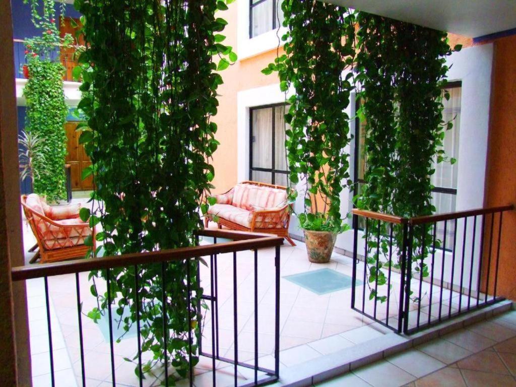 Hotel Oaxaca Dorado Eksteriør bilde